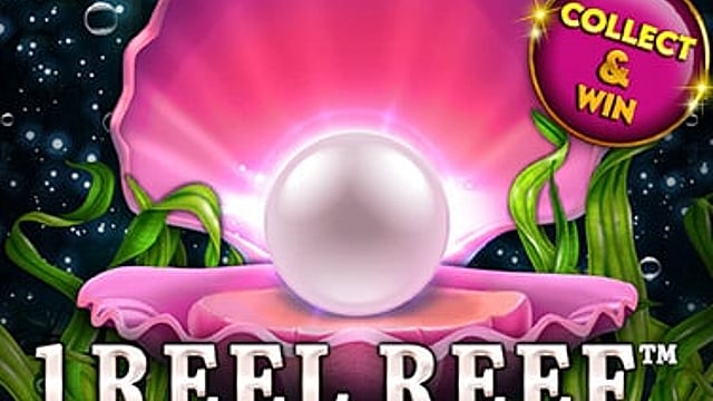 1 Reel Reef