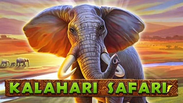 Kalahari Safari