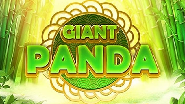 Giant Panda